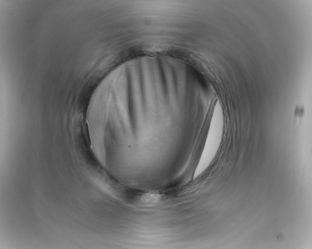 X0000090430227200708102012