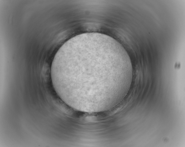 X0000090430228200708102012