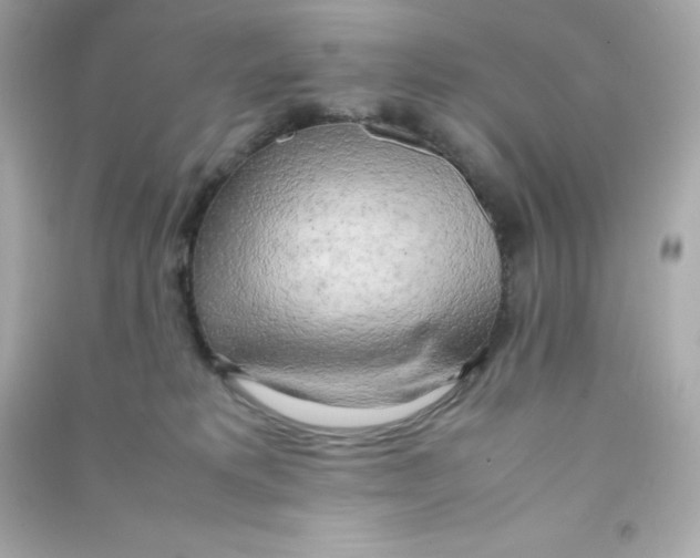 X0000090430229200708102012