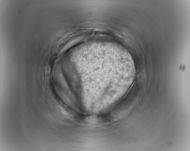 X0000090430231200708102012