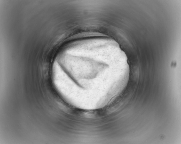 X0000090430232200708102012