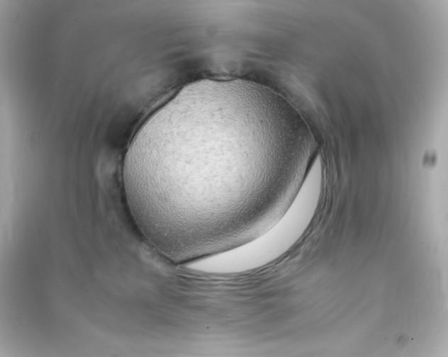 X0000090430233200708102012