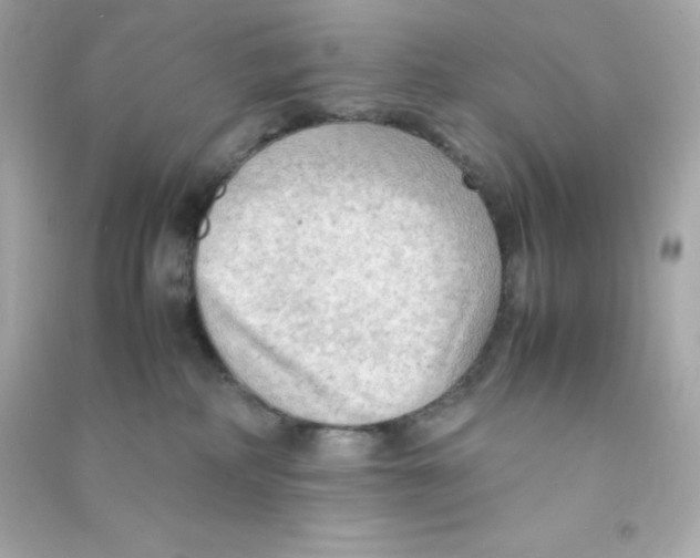X0000090430234200708102012