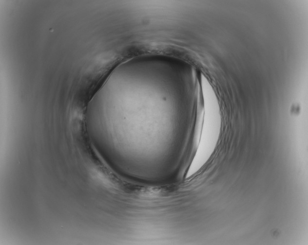 X0000090430235200708102012