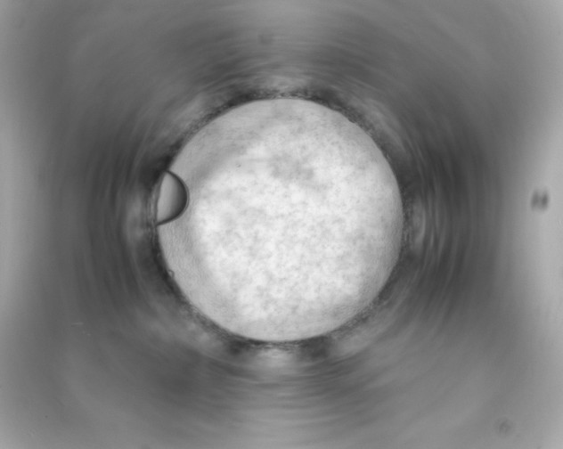 X0000090430236200708102012