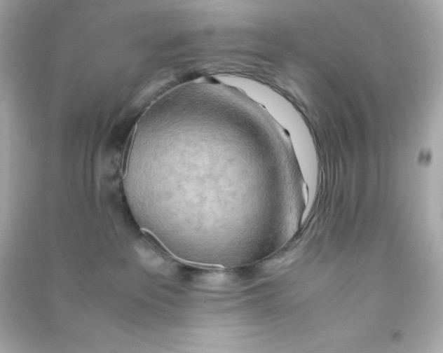X0000090430237200708102012