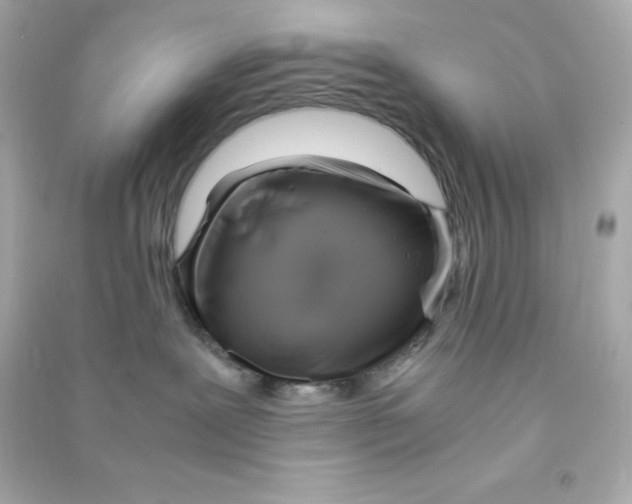 X0000090430239200708102012