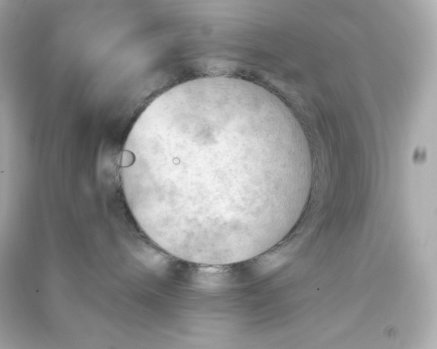 X0000090430240200708102012