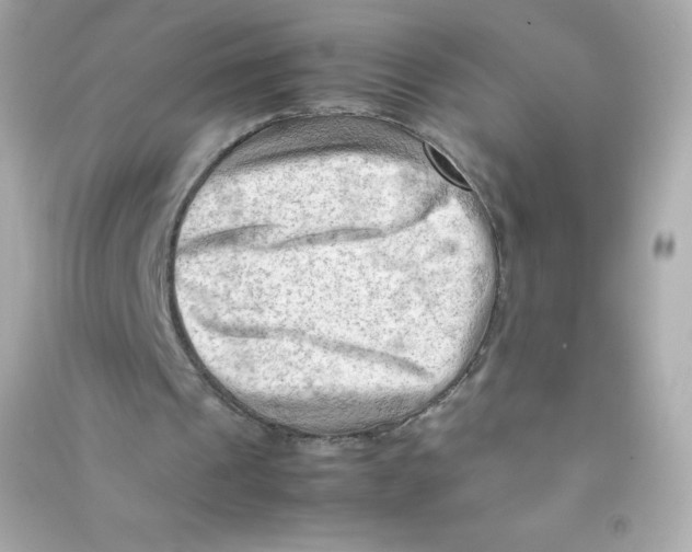 X0000090430241200708102011