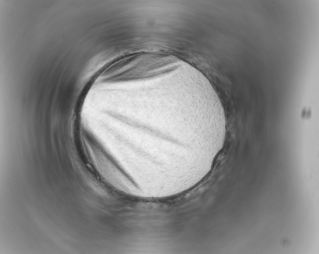 X0000090430242200708102011
