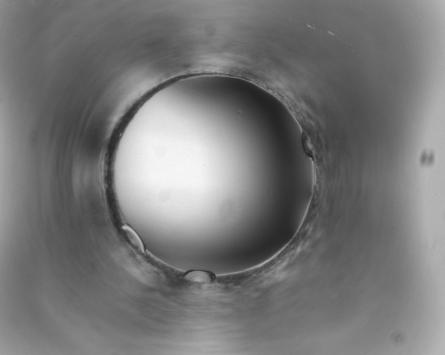 X0000090430244200708102011