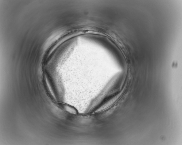 X0000090430245200708102011