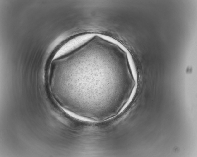 X0000090430246200708102011