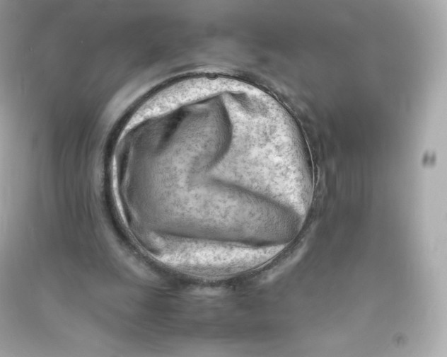 X0000090430247200708102011