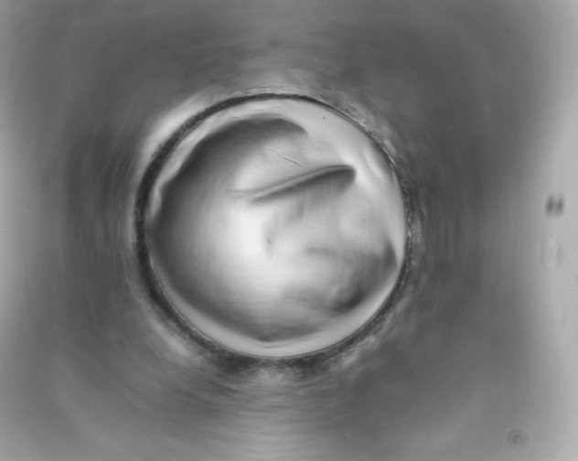 X0000090430248200708102011