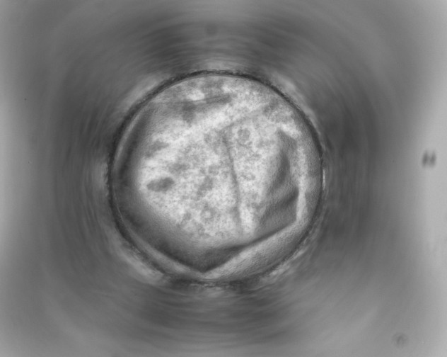 X0000090430249200708102011