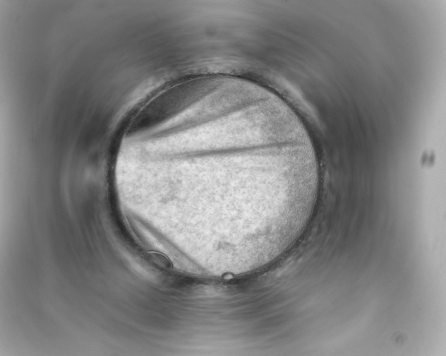 X0000090430250200708102011