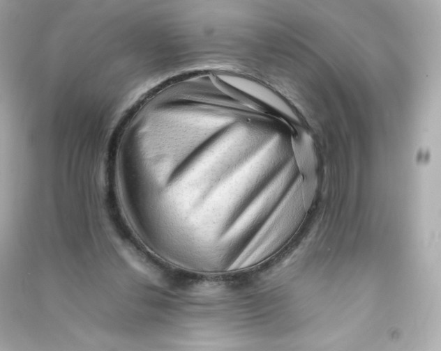 X0000090430252200708102011