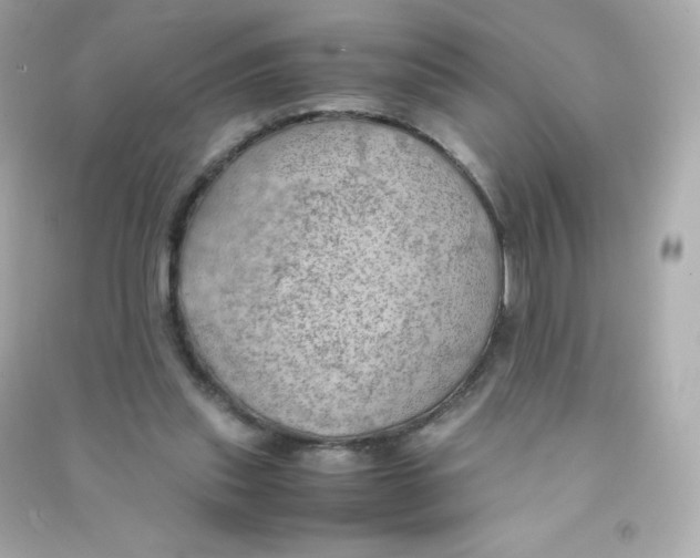 X0000090430253200708102011