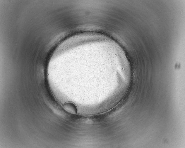 X0000090430254200708102011