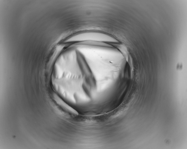 X0000090430256200708102011