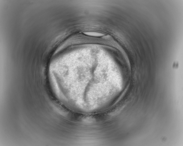 X0000090430258200708102011