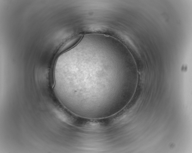X0000090430260200708102011