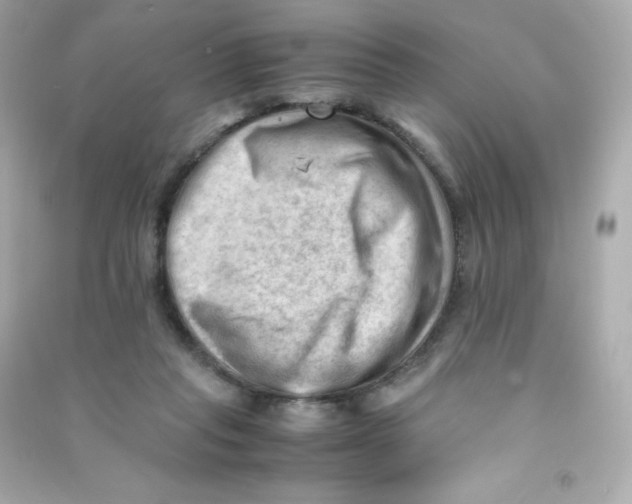 X0000090430261200708102011