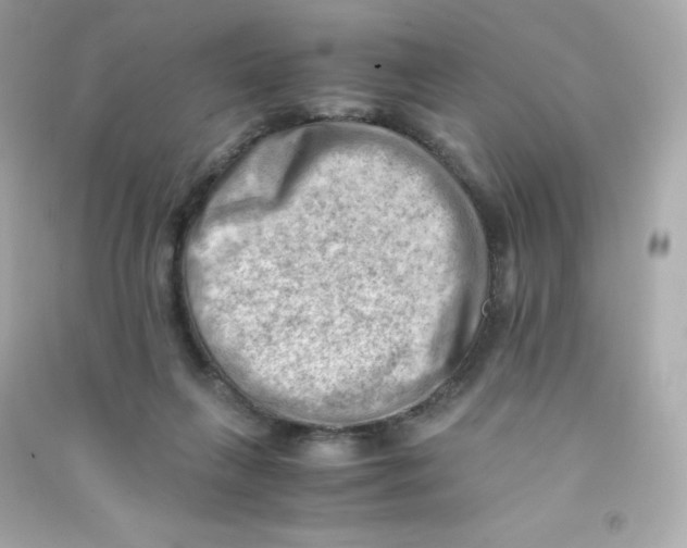 X0000090430263200708102011