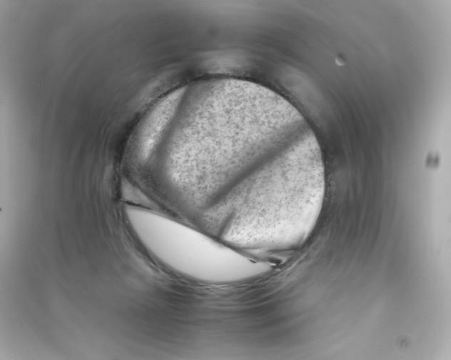 X0000090430265200708102011