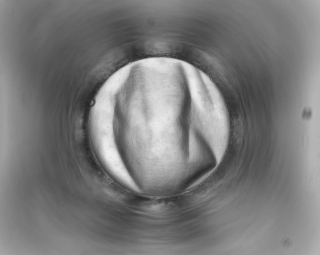 X0000090430267200708102011