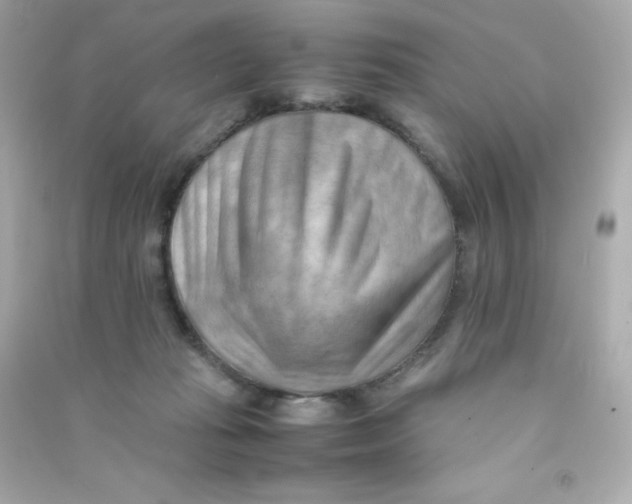 X0000090430269200708102011