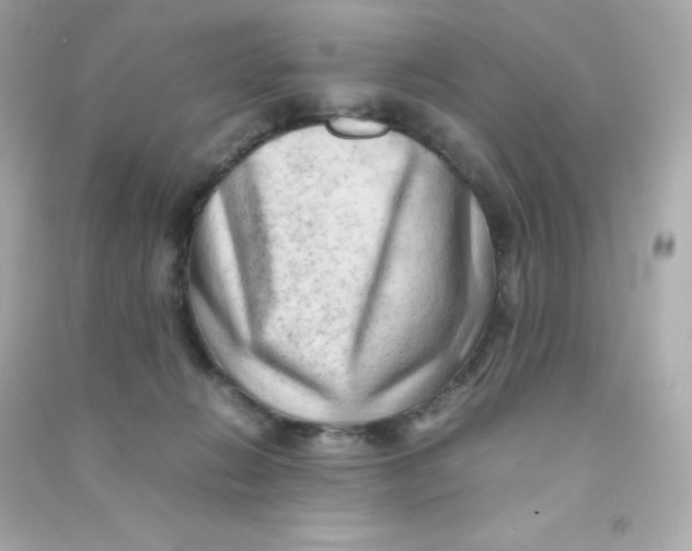 X0000090430270200708102011