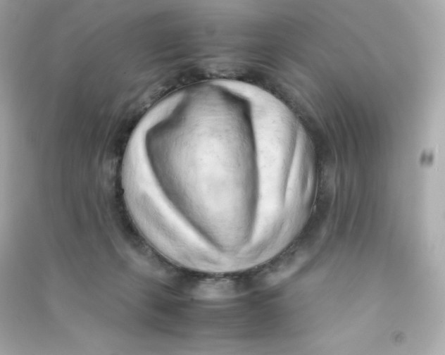 X0000090430271200708102011