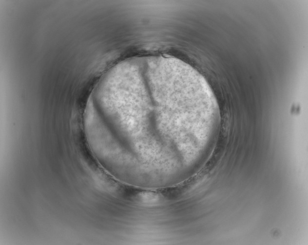 X0000090430272200708102011