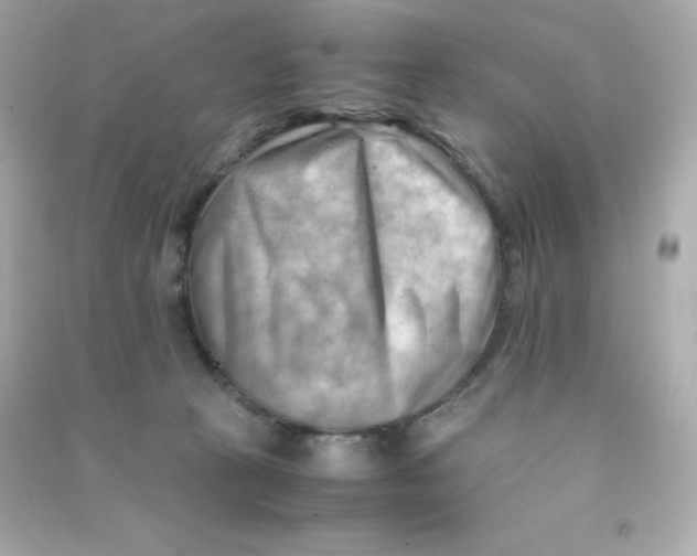 X0000090430273200708102011