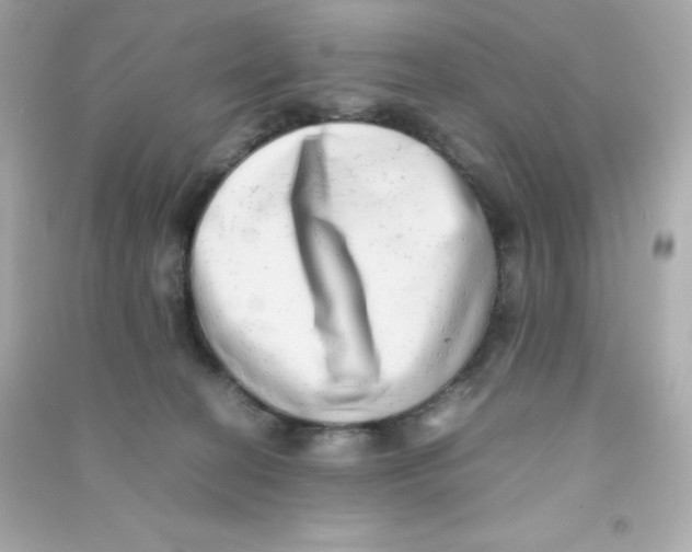 X0000090430274200708102011