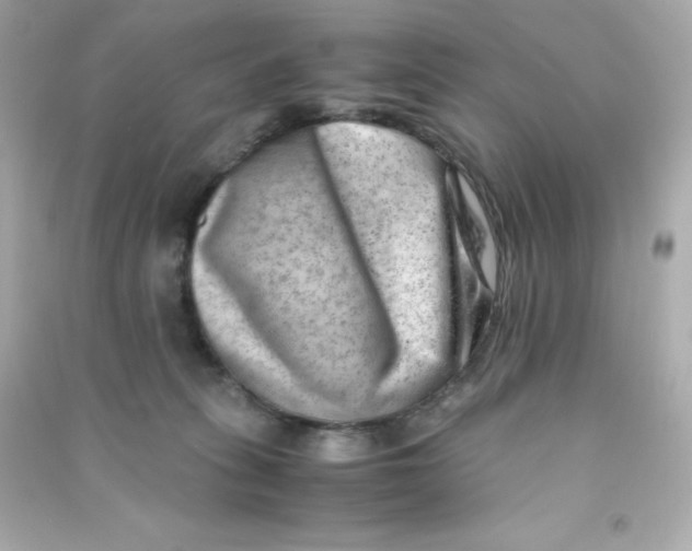 X0000090430275200708102011