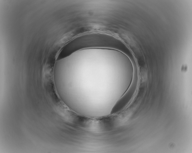 X0000090430276200708102011