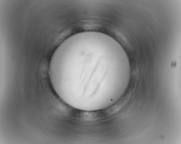 X0000090430277200708102011