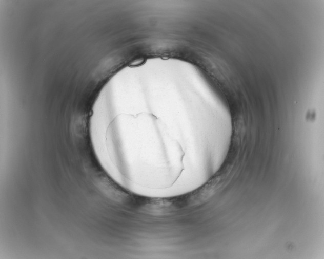 X0000090430278200708102011