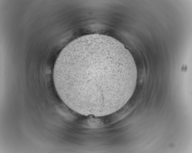 X0000090430279200708102011