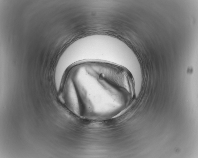 X0000090430280200708102011