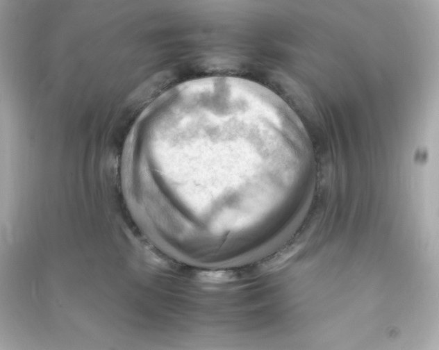 X0000090430281200708102011