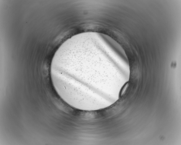 X0000090430282200708102011