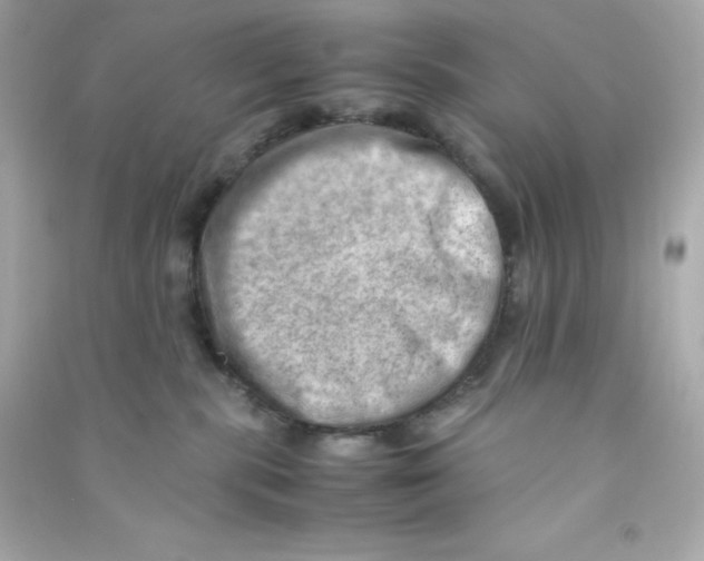 X0000090430283200708102011
