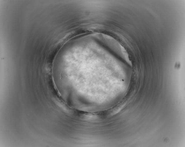 X0000090430284200708102011