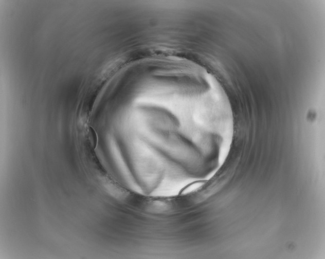 X0000090430285200708102011