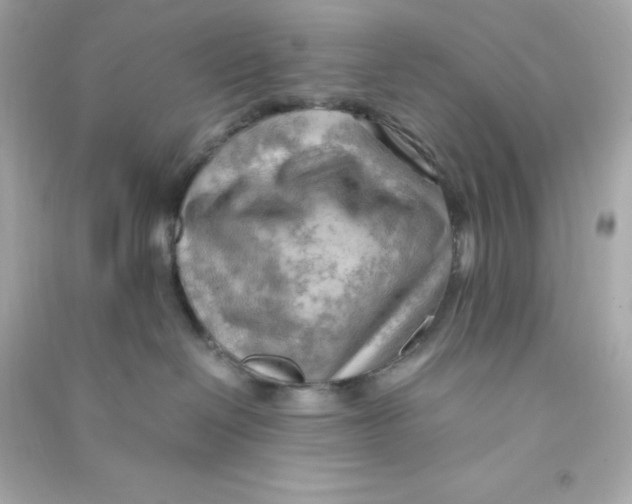 X0000090430286200708102012