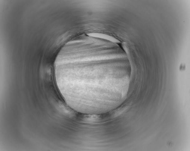 X0000090430288200708102012